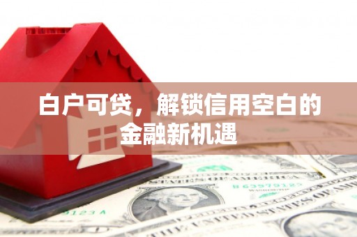 卧龙白户可贷，解锁信用空白的金融新机遇