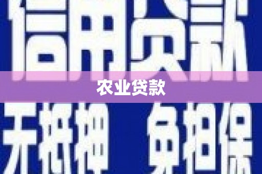 卧龙农业贷款