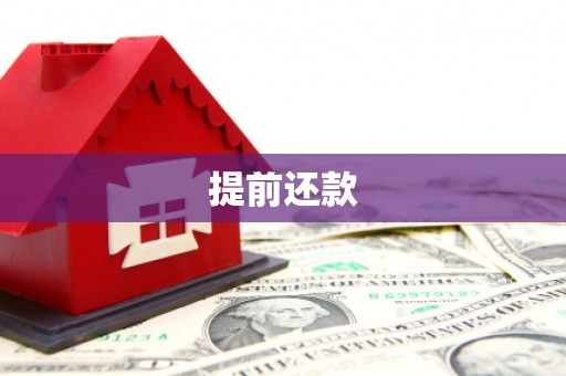 卧龙提前还款