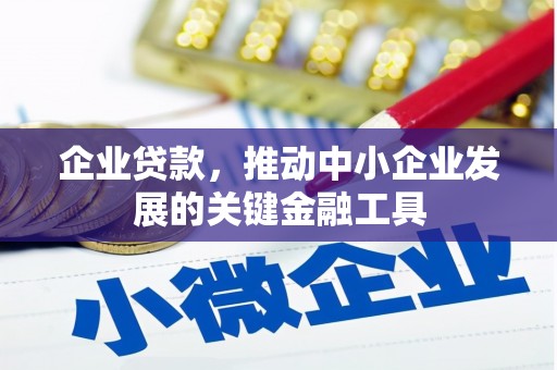 卧龙企业贷款，推动中小企业发展的关键金融工具