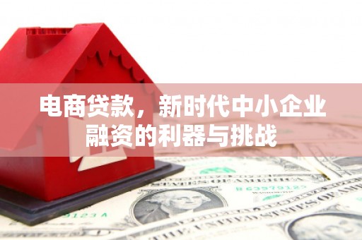 卧龙电商贷款，新时代中小企业融资的利器与挑战