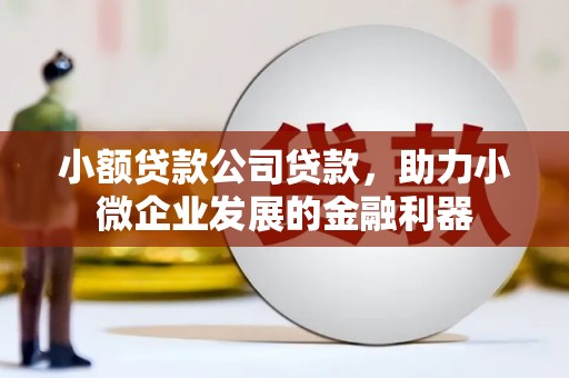 卧龙小额贷款公司贷款，助力小微企业发展的金融利器