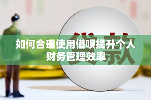 卧龙如何合理使用借呗提升个人财务管理效率