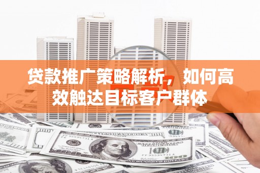 卧龙贷款推广策略解析，如何高效触达目标客户群体