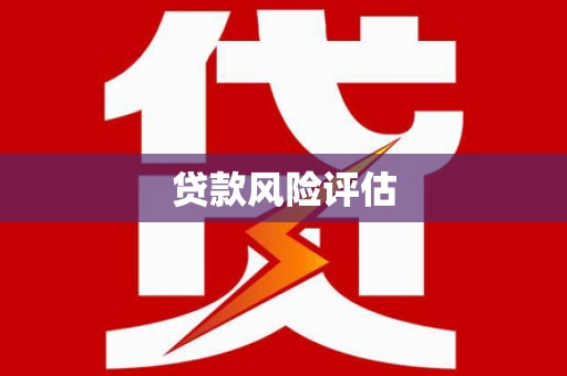 卧龙贷款风险评估