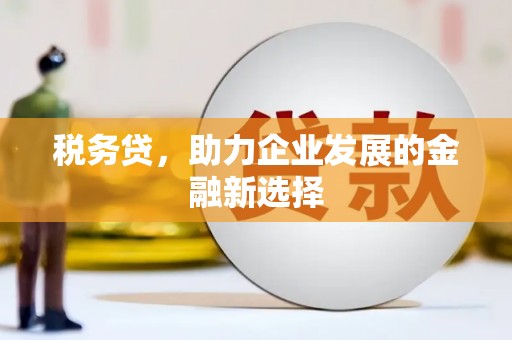 卧龙税务贷，助力企业发展的金融新选择
