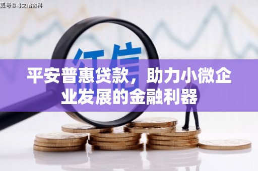 卧龙平安普惠贷款，助力小微企业发展的金融利器
