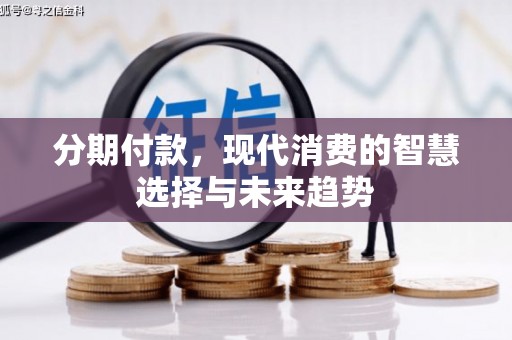 卧龙分期付款，现代消费的智慧选择与未来趋势