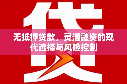 卧龙无抵押贷款，灵活融资的现代选择与风险控制