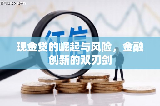卧龙现金贷的崛起与风险，金融创新的双刃剑