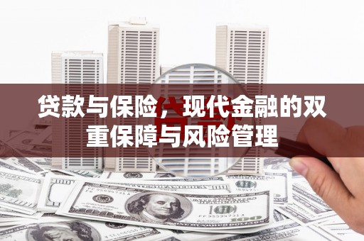 卧龙贷款与保险，现代金融的双重保障与风险管理