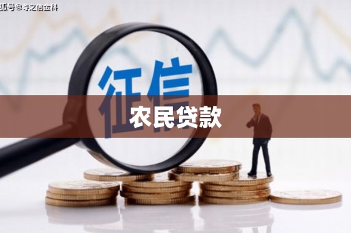 卧龙农民贷款
