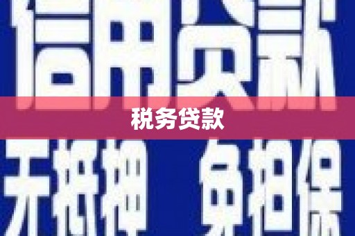 卧龙税务贷款