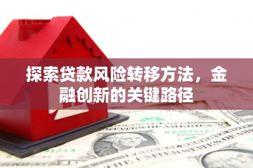 卧龙探索贷款风险转移方法，金融创新的关键路径