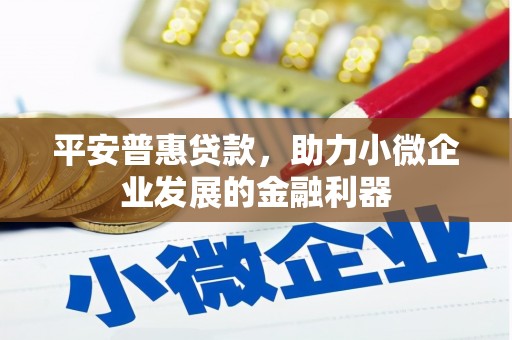 卧龙平安普惠贷款，助力小微企业发展的金融利器
