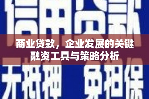 卧龙商业贷款，企业发展的关键融资工具与策略分析