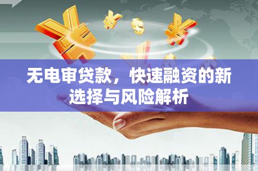 卧龙无电审贷款，快速融资的新选择与风险解析