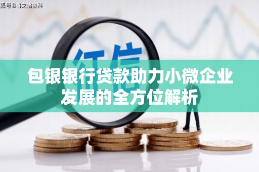 卧龙包银银行贷款助力小微企业发展的全方位解析