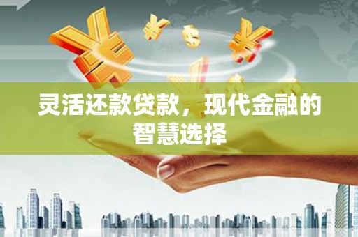 卧龙灵活还款贷款，现代金融的智慧选择