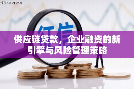 卧龙供应链贷款，企业融资的新引擎与风险管理策略