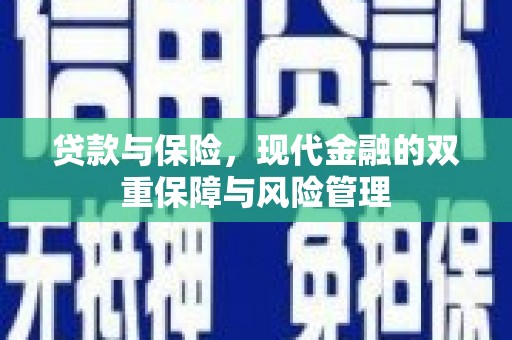 卧龙贷款与保险，现代金融的双重保障与风险管理