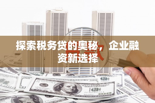 卧龙探索税务贷的奥秘，企业融资新选择