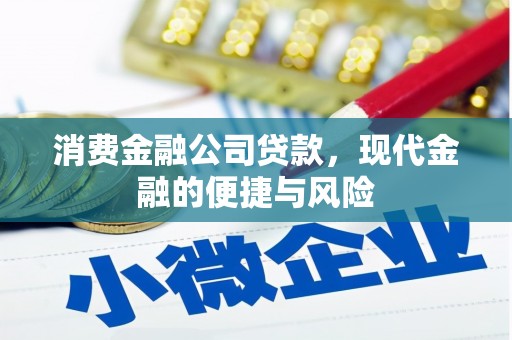 卧龙消费金融公司贷款，现代金融的便捷与风险