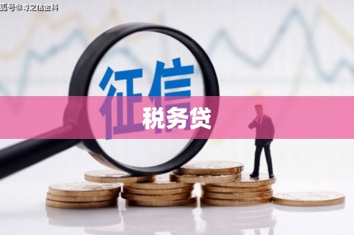 卧龙税务贷