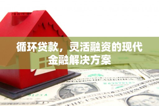 卧龙循环贷款，灵活融资的现代金融解决方案