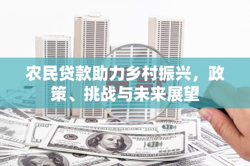 卧龙农民贷款助力乡村振兴，政策、挑战与未来展望