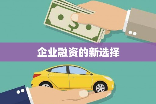 卧龙企业融资的新选择