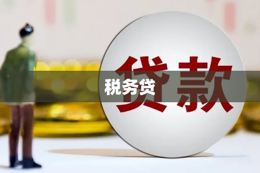 卧龙税务贷