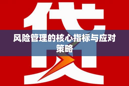卧龙风险管理的核心指标与应对策略