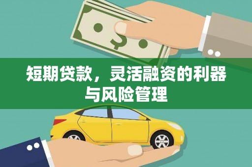 卧龙短期贷款，灵活融资的利器与风险管理