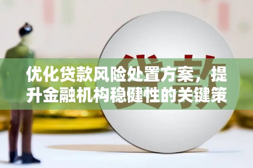 卧龙优化贷款风险处置方案，提升金融机构稳健性的关键策略