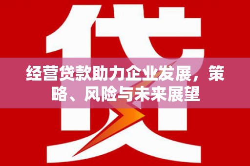 卧龙经营贷款助力企业发展，策略、风险与未来展望