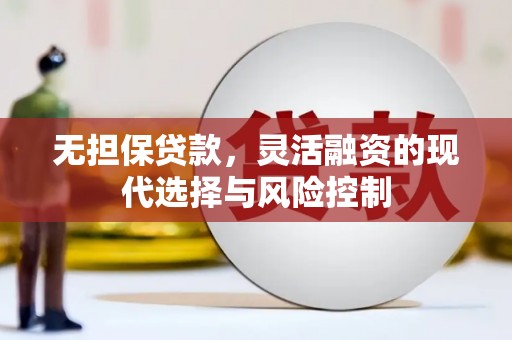 卧龙无担保贷款，灵活融资的现代选择与风险控制