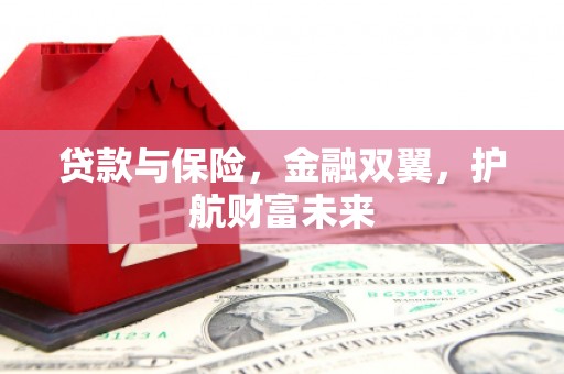 卧龙贷款与保险，金融双翼，护航财富未来