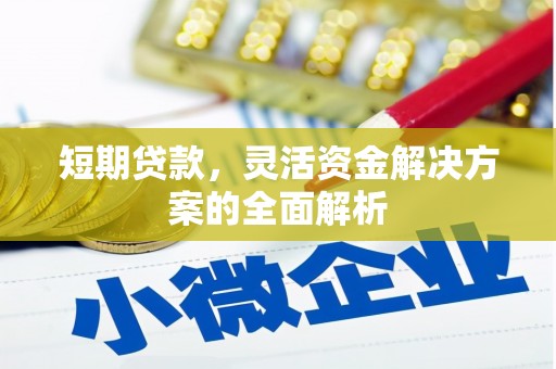 卧龙短期贷款，灵活资金解决方案的全面解析