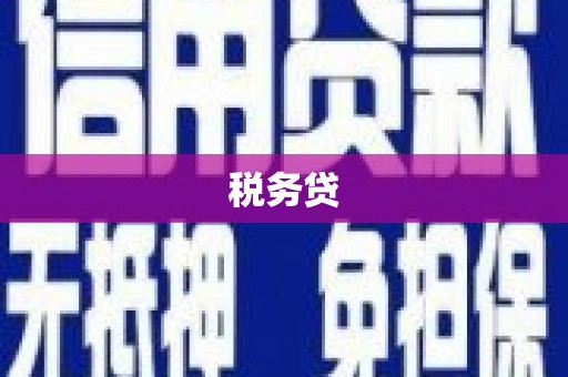 卧龙税务贷