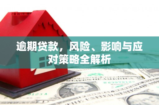 卧龙逾期贷款，风险、影响与应对策略全解析