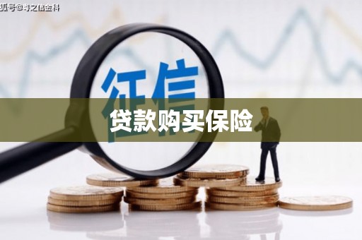 卧龙贷款购买保险