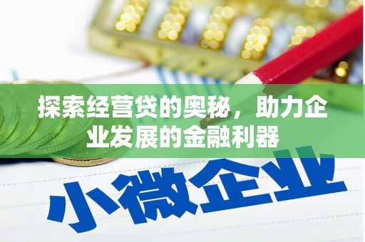 卧龙探索经营贷的奥秘，助力企业发展的金融利器
