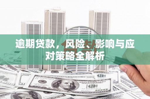 卧龙逾期贷款，风险、影响与应对策略全解析