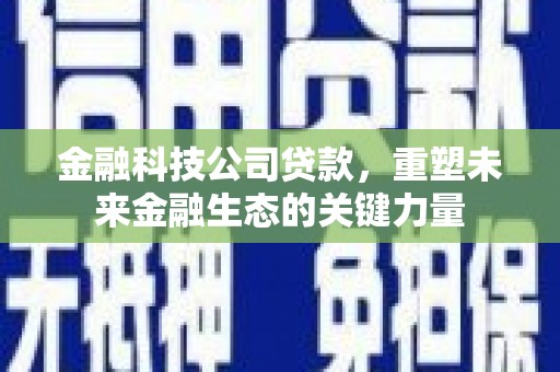 卧龙金融科技公司贷款，重塑未来金融生态的关键力量