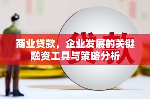 卧龙商业贷款，企业发展的关键融资工具与策略分析