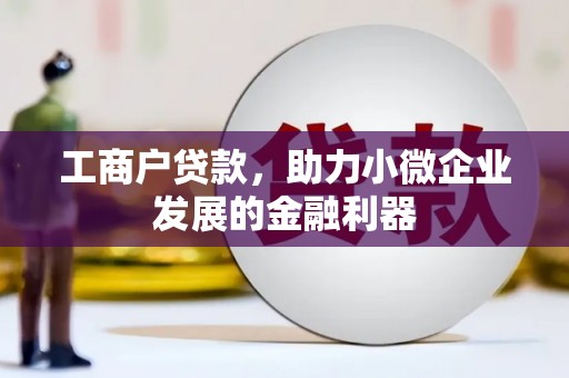 卧龙工商户贷款，助力小微企业发展的金融利器