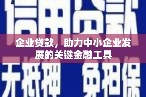 卧龙企业贷款，助力中小企业发展的关键金融工具