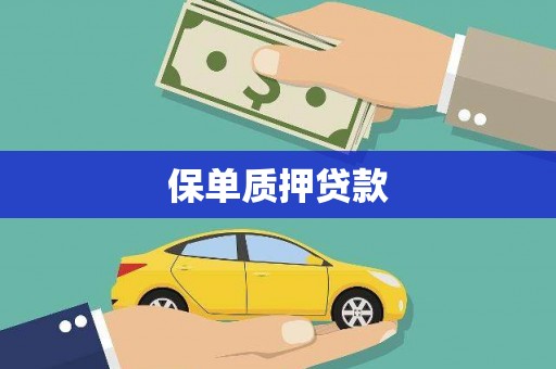 卧龙保单质押贷款