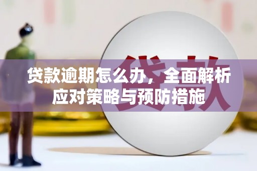 卧龙贷款逾期怎么办，全面解析应对策略与预防措施